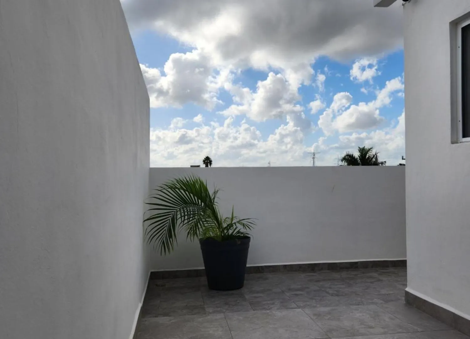 Cancun Perla Suite'S Apartment